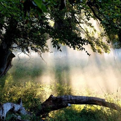 多款银行理财，发行失败！