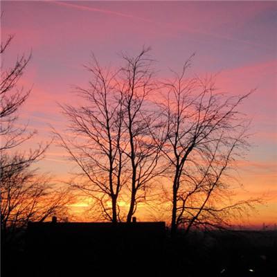 港股“子”曰 | 科网股之后 保险股开始拖累市场